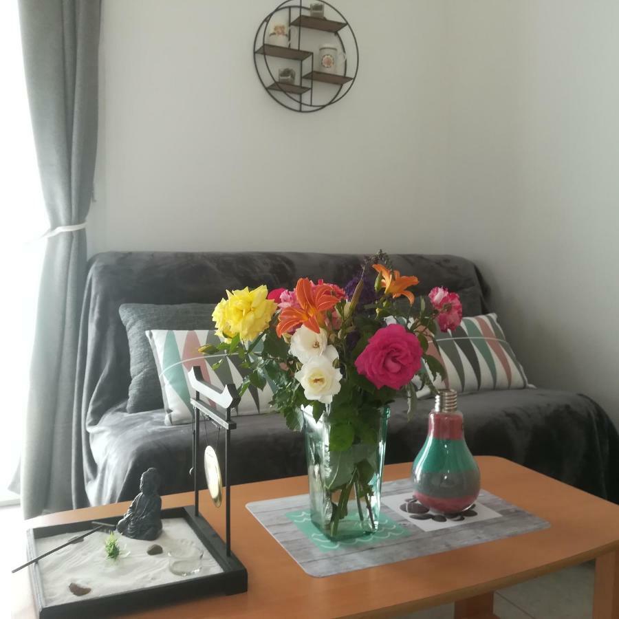 מרויי Appartements Dans Villa Privee Avec Piscine, Jardin, Parking Clos, Wifi, Climatisation מראה חיצוני תמונה